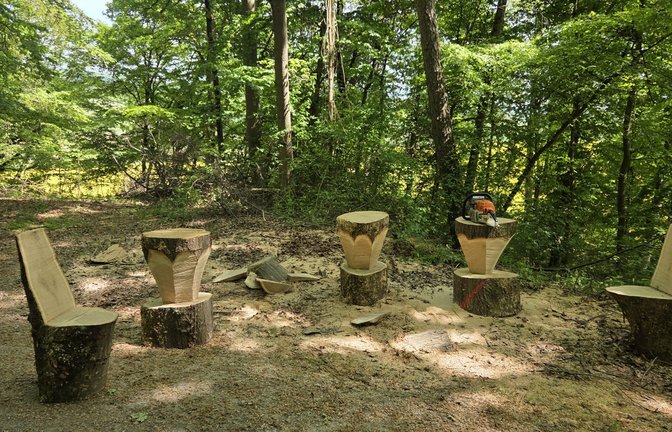 Viel zu schade zum Verheizen, denkt sich Daniel Erb aus Aurich über dicke Brennholzstämme – und sägt kurzerhand rustikale Möbelstücke draus.  <span class='image-autor'>Foto: p</span>