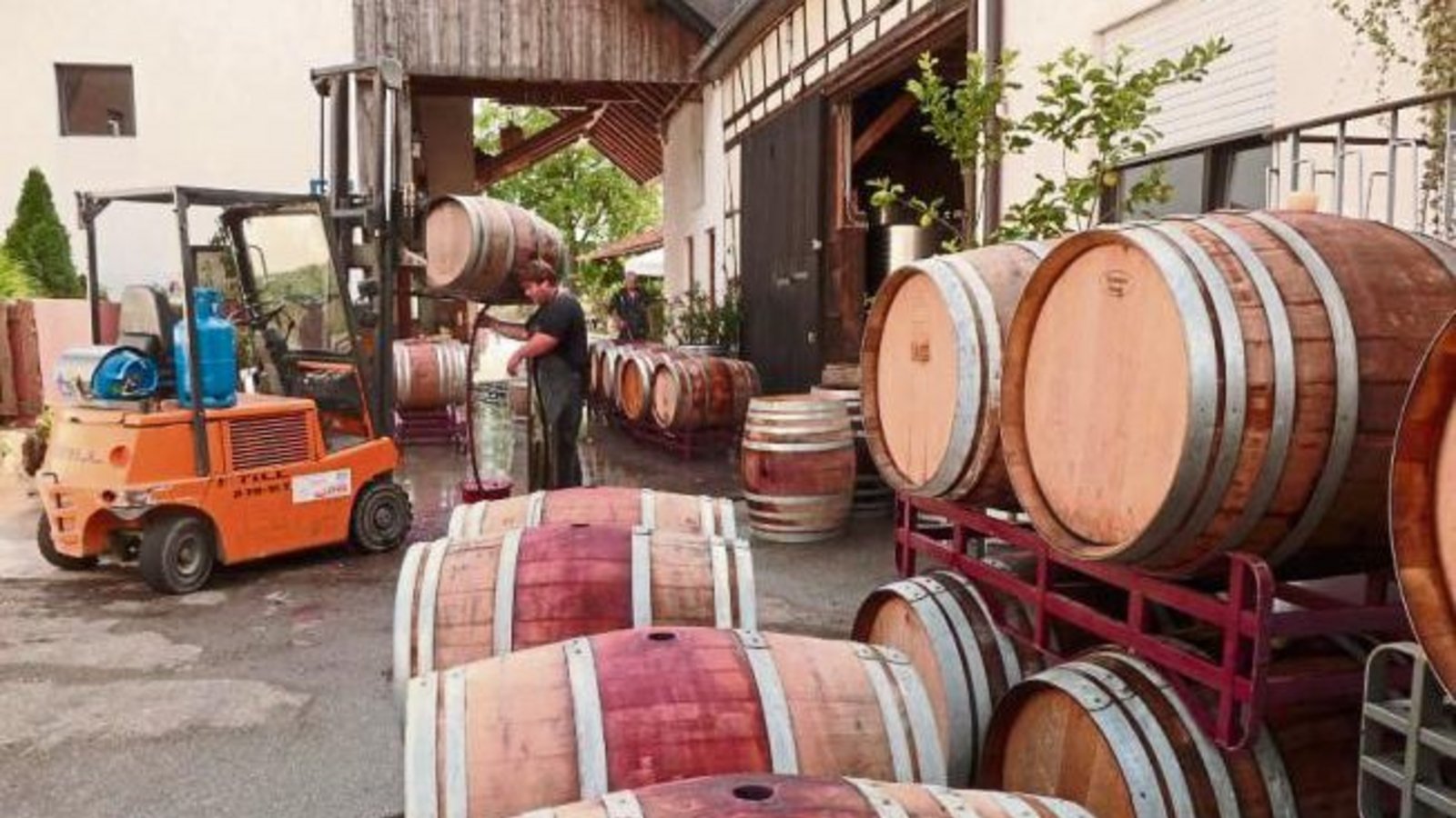 Vorbereitungen für den Herbst: Der 2014er ist in Flaschen, in Niederhaslach beim Weingut Gerd Keller ist Fässer putzen angesagt. Foto: Arning Vorbereitungen für den Herbst: Der 2014er ist in Flaschen, in Niederhaslach beim Weingut Gerd Keller ist Fässer putzen angesagt. Foto: Arning