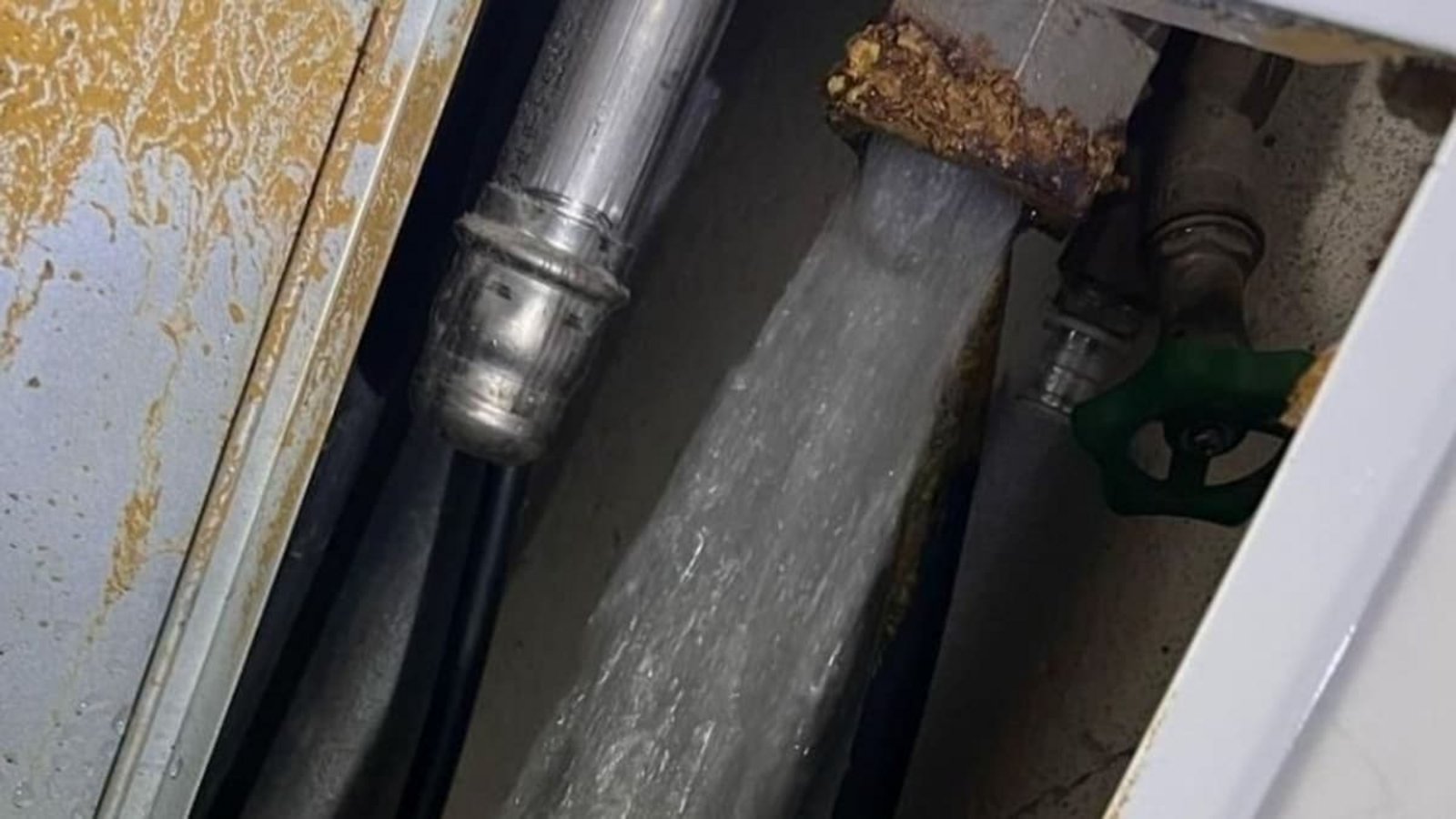 Im Haus von Ute Mayer sprudelten nach einem Rohrbruch Abwasser und Fäkalien aus der Kellerwand.Archiv Im Haus von Ute Mayer sprudelten nach einem Rohrbruch Abwasser und Fäkalien aus der Kellerwand.Archiv