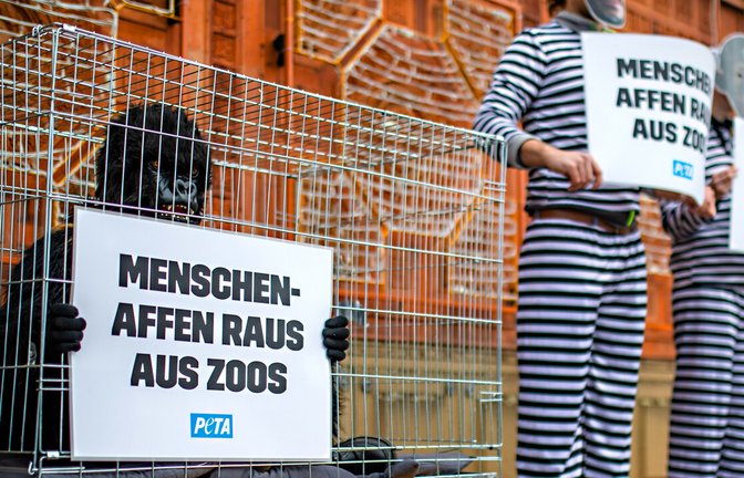 Peta-Aktivisten demonstrieren in Bad Cannstatt vor der Wilhelma.Peta-Aktivisten demonstrieren vor der Wilhelma.<span class='image-autor'>Foto: /Christoph Schmidt</span>