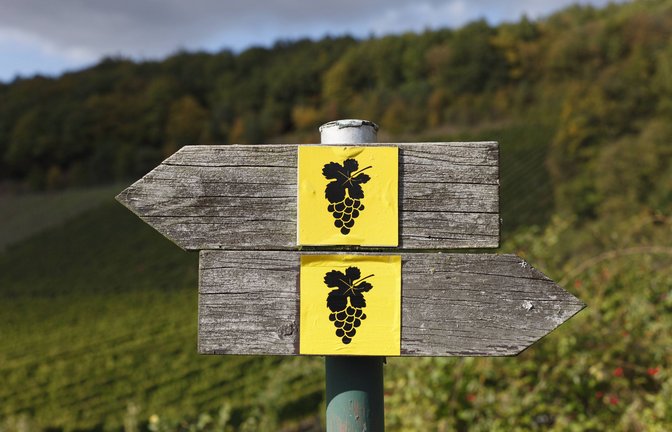 Routen für Weinwanderungen in Baden-Württemberg gibt es einige. Wir haben ein paar schöne rausgesucht. (Symbolbild)<span class='image-autor'>Foto: imago/Westend61/imago stock&people</span>