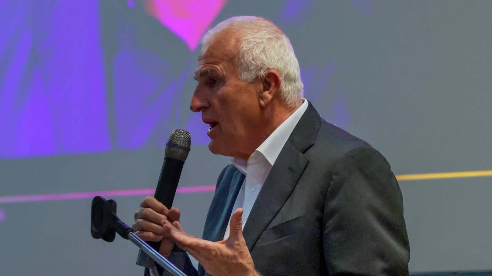 Professor Christoph Schickhardt hat das Publikum in Großsachsenheim auf die WM eingestimmt. Foto: Kalb