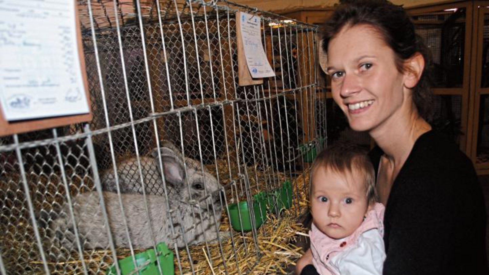 Früh übt sich: Ob die zehn Monate alte Jessica eines Tages wie ihr Vater Kleintierzüchter wird, steht noch in den Sternen. Auf dem Arm von Mutter Jeanette Alfers jedenfalls waren die Kaninchen ziemlich interessant. Foto: Stahlfeld Früh übt sich: Ob die zehn Monate alte Jessica eines Tages wie ihr Vater Kleintierzüchter wird, steht noch in den Sternen. Auf dem Arm von Mutter Jeanette Alfers jedenfalls waren die Kaninchen ziemlich interessant. Foto: Stahlfeld
