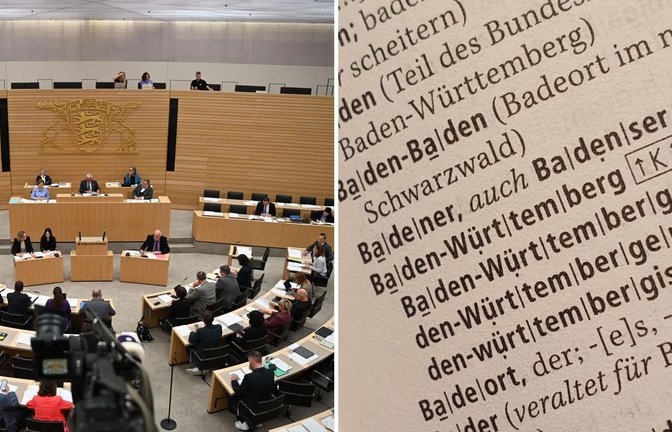 Im Landtag hatte der AfD-Abgeordnete Uwe von Wangenheim  mit dem Wort „Badenser“ für Aufregung gesorgt. Der Duden kennt es aber auch.<span class='image-autor'>Foto: Katharina Kausche/dpa</span>