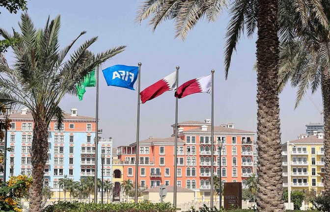 Flaggen in den Farben Katars und eine Fifa-Flagge wehen unter Palmen.<span class='image-autor'>Foto: Christian Charisius/dpa</span>