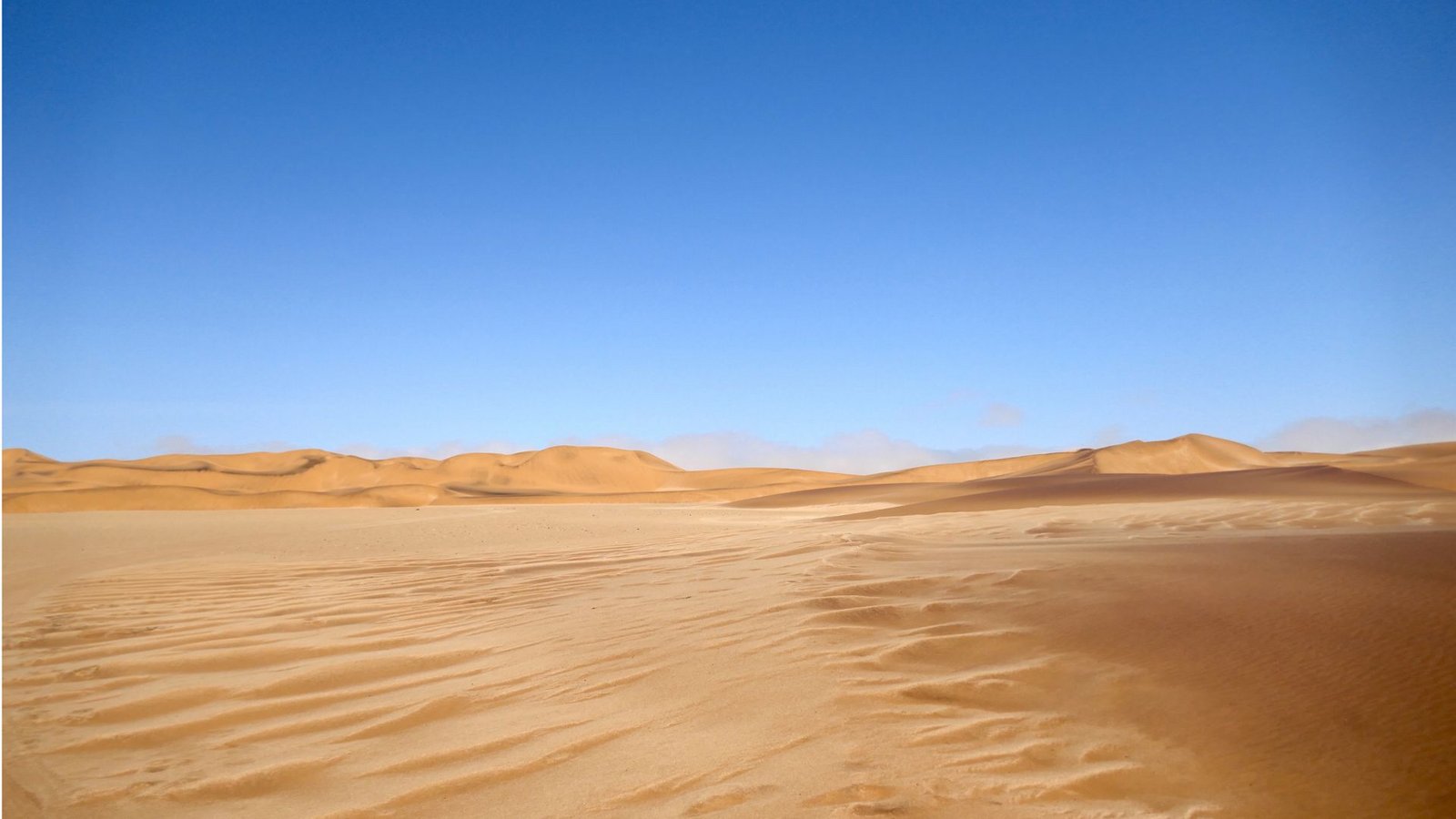 Auf den ersten Blick tot, auf den zweiten voller abenteuerlicher Begegnungen: Die Wüste NamibFoto: Bettina Bernhard