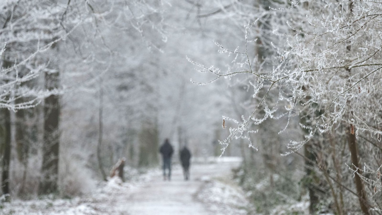 Wo liegt gerade Schnee in Baden-Württemberg? (Symbolbild)Foto: Marijan Murat/dpa/Marijan Murat