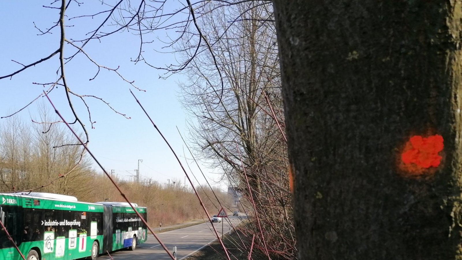 Die Linden beim Bahnhof wurden nicht markiert, weil sie gefällt werden sollen, sondern um dem mit der Gehölzpflege beauftragten Unternehmen zu signalisieren, dass sie erhalten werden sollen.