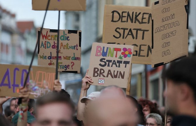 Teilnehmer einer Gegendemonstration am Rande einer AfD-Wahlkampfveranstaltung.<span class='image-autor'>Jan Woitas/dpa</span>
