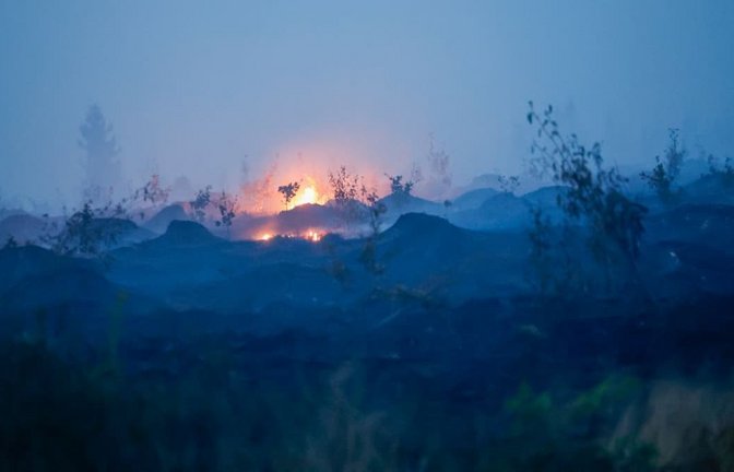 Blick auf verbrannte Vegetation und verbrannten Waldboden. Weite Teile des Hohen Venn an der Grenze zu Deutschland sind von den Flammen betroffen.<span class='image-autor'>Thomas Banneyer/dpa</span>