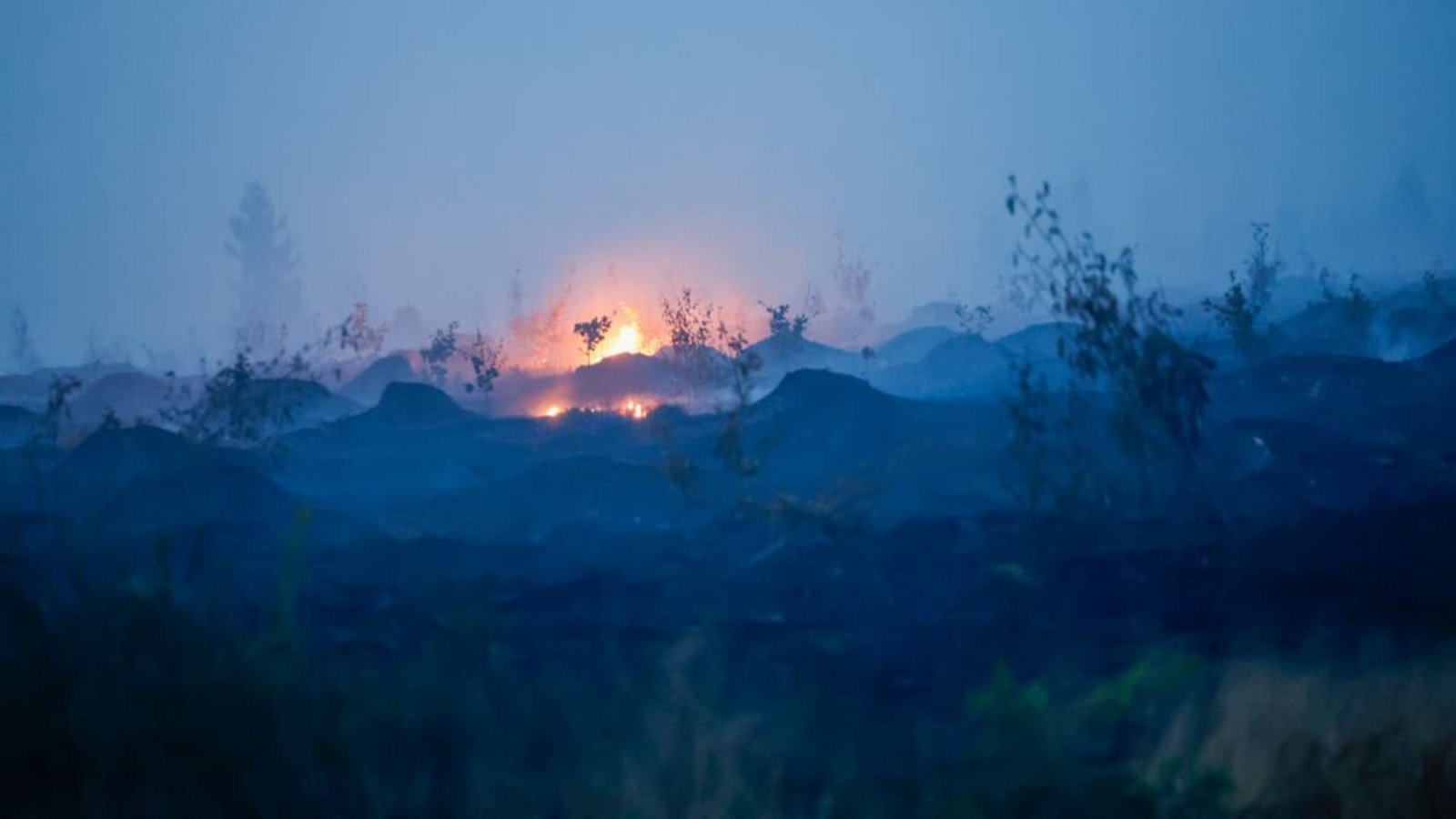 Blick auf verbrannte Vegetation und verbrannten Waldboden. Weite Teile des Hohen Venn an der Grenze zu Deutschland sind von den Flammen betroffen.Thomas Banneyer/dpa Blick auf verbrannte Vegetation und verbrannten Waldboden. Weite Teile des Hohen Venn an der Grenze zu Deutschland sind von den Flammen betroffen.Thomas Banneyer/dpa