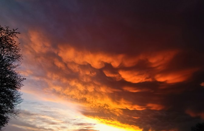 „Heute Abend ,rollte‘ ein schnelles und heftiges Gewitter über Gündelbach hinweg und danach zeigte sich ein ganz seltsamer Himmel mit wunderbaren Wolkenformationen“, schreibt uns Clara Spielmann am Freitagabend zu ihrem gelungen Foto.