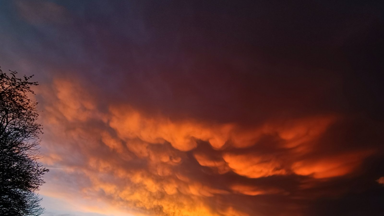 „Heute Abend ,rollte‘ ein schnelles und heftiges Gewitter über Gündelbach hinweg und danach zeigte sich ein ganz seltsamer Himmel mit wunderbaren Wolkenformationen“, schreibt uns Clara Spielmann am Freitagabend zu ihrem gelungen Foto. „Heute Abend ,rollte‘ ein schnelles und heftiges Gewitter über Gündelbach hinweg und danach zeigte sich ein ganz seltsamer Himmel mit wunderbaren Wolkenformationen“, schreibt uns Clara Spielmann am Freitagabend zu ihrem gelungen Foto.