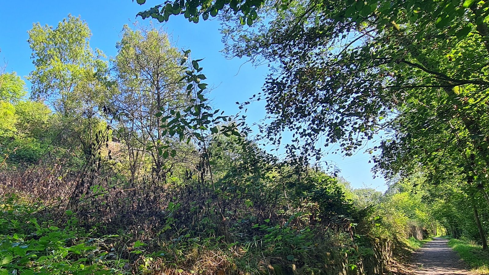 Die Wege im Bereich Beerhalde sind für moderne landwirtschaftliche Maschinen nicht befahrbar, weshalb oft auf Privatwege ausgewichen wird. Foto: Kauer