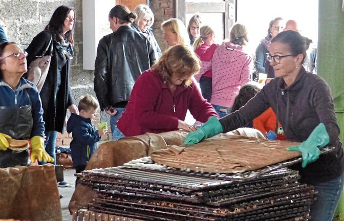28 Tonnen Äpfel wurden schon in der Nussdorfer Kelter gepresst. Fotos: p