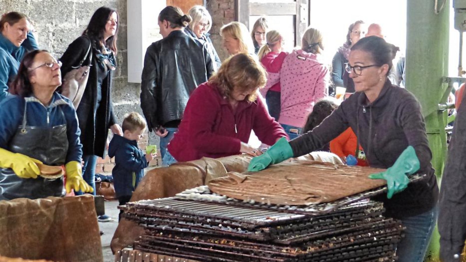 28 Tonnen Äpfel wurden schon in der Nussdorfer Kelter gepresst. Fotos: p