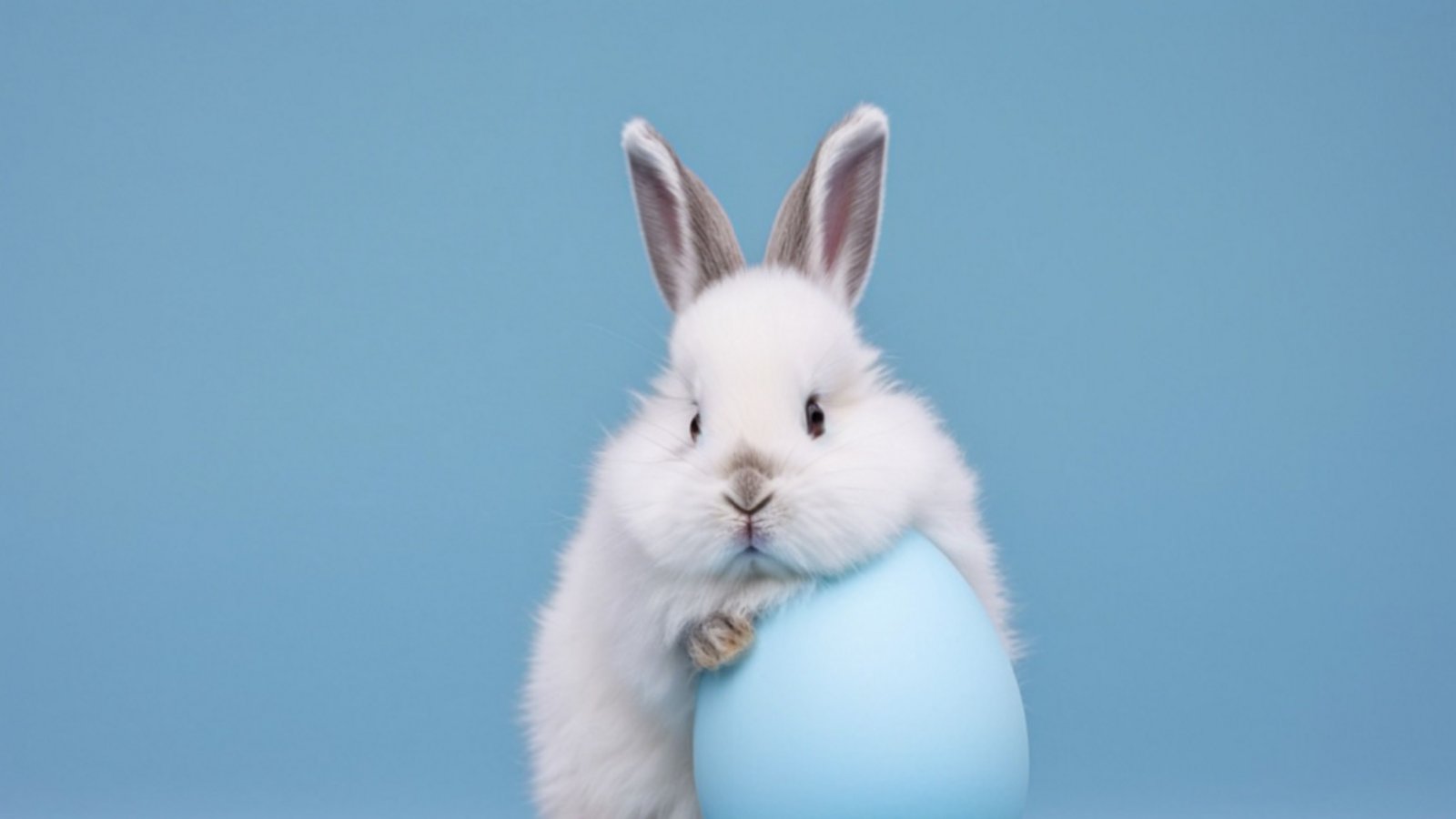 Kann man am Karsamstag einkaufen?Foto: Zay Set Paing / shutterstock.com