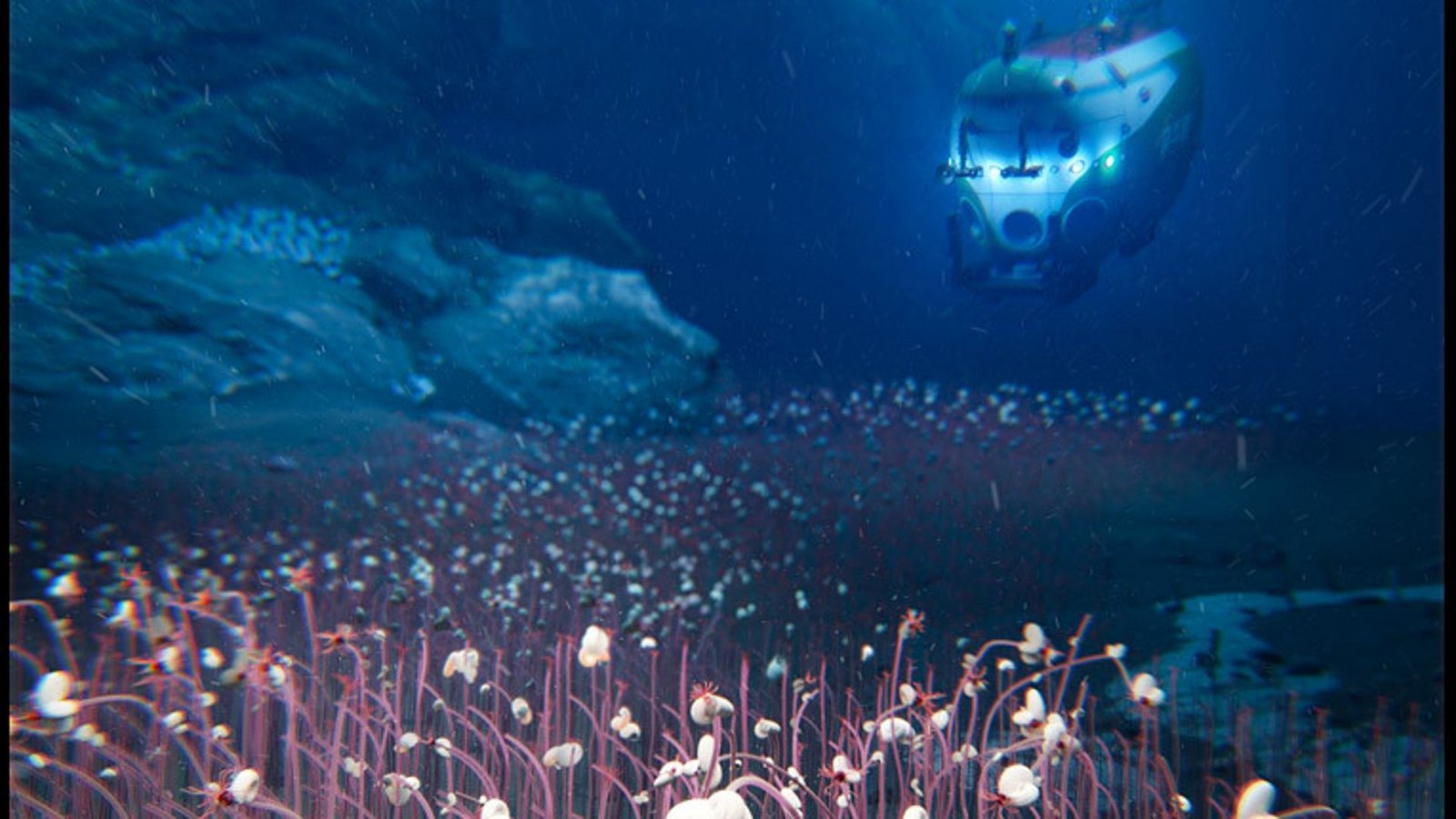 Mit einem speziellen Tauchboot haben Forschende den Grund von zwei Tiefseegräben im Pazifik erkundet – und dort eine überraschend reiche Lebenswelt entdeckt.Foto: © Institute of Deep-sea Science and Engineering, CAS (IDSSE, CAS) Mit einem speziellen Tauchboot haben Forschende den Grund von zwei Tiefseegräben im Pazifik erkundet – und dort eine überraschend reiche Lebenswelt entdeckt.Foto: © Institute of Deep-sea Science and Engineering, CAS (IDSSE, CAS)