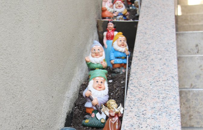 Das sogenannte Urban Gardening, also die gärtnerische Nutzung selbst kleinster Flächen, liegt in großen Städten voll im Trend. Dieses kreative Arrangement in der Vaihinger Keltergasse dürfte dann wohl ein Fall von Urban Gardenzwerging sein.  <span class='image-autor'>Foto: Banholzer</span>