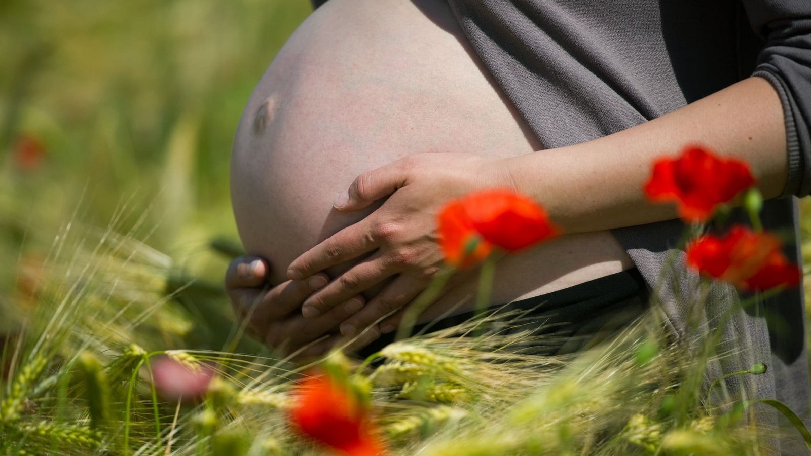 Illustration - Eine im neunten Monat schwangere Frau steht in einem Getreidefeld mit Mohnblumen unweit von Frankfurt (Oder) während eines Fotoshootings, aufgenommen am 22.06.2010. (zu dpa: «Paracetamol in der Schwangerschaft: Möglicher Einfluss auf Töchter»)Patrick Pleul/dpa Illustration - Eine im neunten Monat schwangere Frau steht in einem Getreidefeld mit Mohnblumen unweit von Frankfurt (Oder) während eines Fotoshootings, aufgenommen am 22.06.2010. (zu dpa: «Paracetamol in der Schwangerschaft: Möglicher Einfluss auf Töchter»)Patrick Pleul/dpa