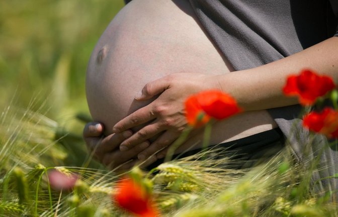 Illustration -  Eine im neunten Monat schwangere Frau steht in einem Getreidefeld mit Mohnblumen unweit von Frankfurt (Oder) während eines Fotoshootings, aufgenommen am 22.06.2010. (zu dpa: «Paracetamol in der Schwangerschaft: Möglicher Einfluss auf Töchter»)<span class='image-autor'>Patrick Pleul/dpa</span>