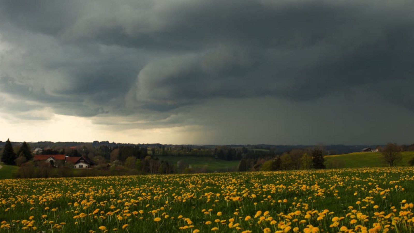 Unwetterwarnung für Pforzheim: Der DWD warnt vor starken Gewittern, Starkregen, Hagel und Sturmböen bis 90 km/h. Zudem gilt extreme Hitze.Alexander Wolf/onw-images/dpa Unwetterwarnung für Pforzheim: Der DWD warnt vor starken Gewittern, Starkregen, Hagel und Sturmböen bis 90 km/h. Zudem gilt extreme Hitze.Alexander Wolf/onw-images/dpa