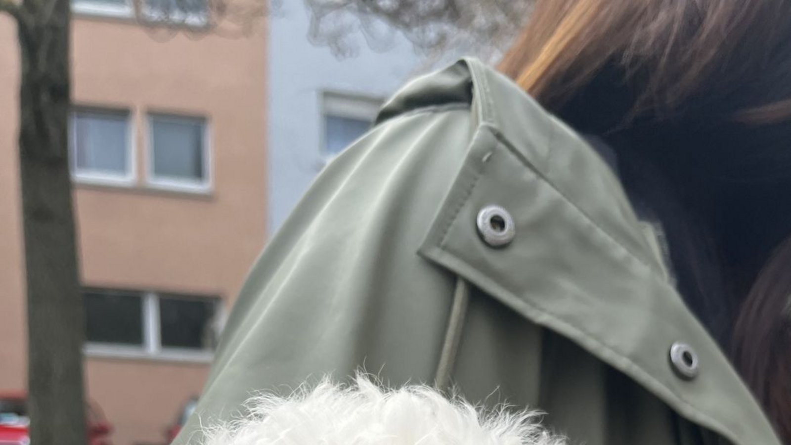 Das Tier wird jetzt im Heilbronner Tierheim versorgt.Foto: Peta