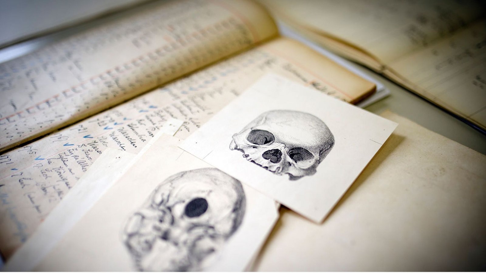 Forschungsmaterialen der Stiftung Preußischer Kulturstiftung (SPK) zur Klärung der Schädelherkunft. Foto:Foto: SPK/photothek / Thomas Koehler