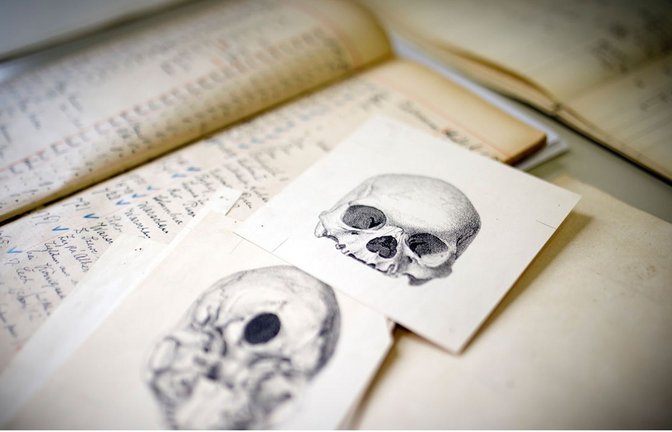 Forschungsmaterialen der Stiftung Preußischer Kulturstiftung (SPK) zur Klärung der Schädelherkunft. Foto:<span class='image-autor'>Foto: SPK/photothek / Thomas Koehler</span>