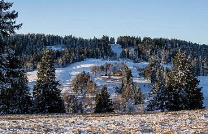 Am Feldberg im Schwarzwald könnte in der Nacht auf Donnerstag Schnee fallen. (Archivbild)<span class='image-autor'>Silas Stein/dpa</span>