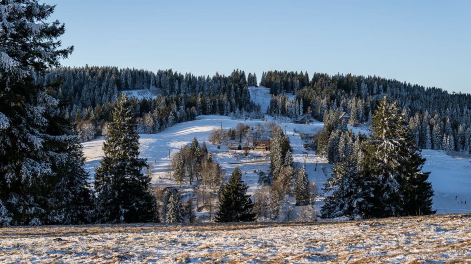 Am Feldberg im Schwarzwald könnte in der Nacht auf Donnerstag Schnee fallen. (Archivbild)Silas Stein/dpa