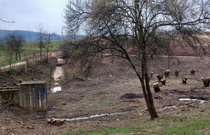 Das Spielberger Regenrückhaltebecken an der Straße nach Ochsenbach. Inzwischen ist der strikte Rückschnitt erfolgt.  <span class='image-autor'>Foto: Glemser</span>