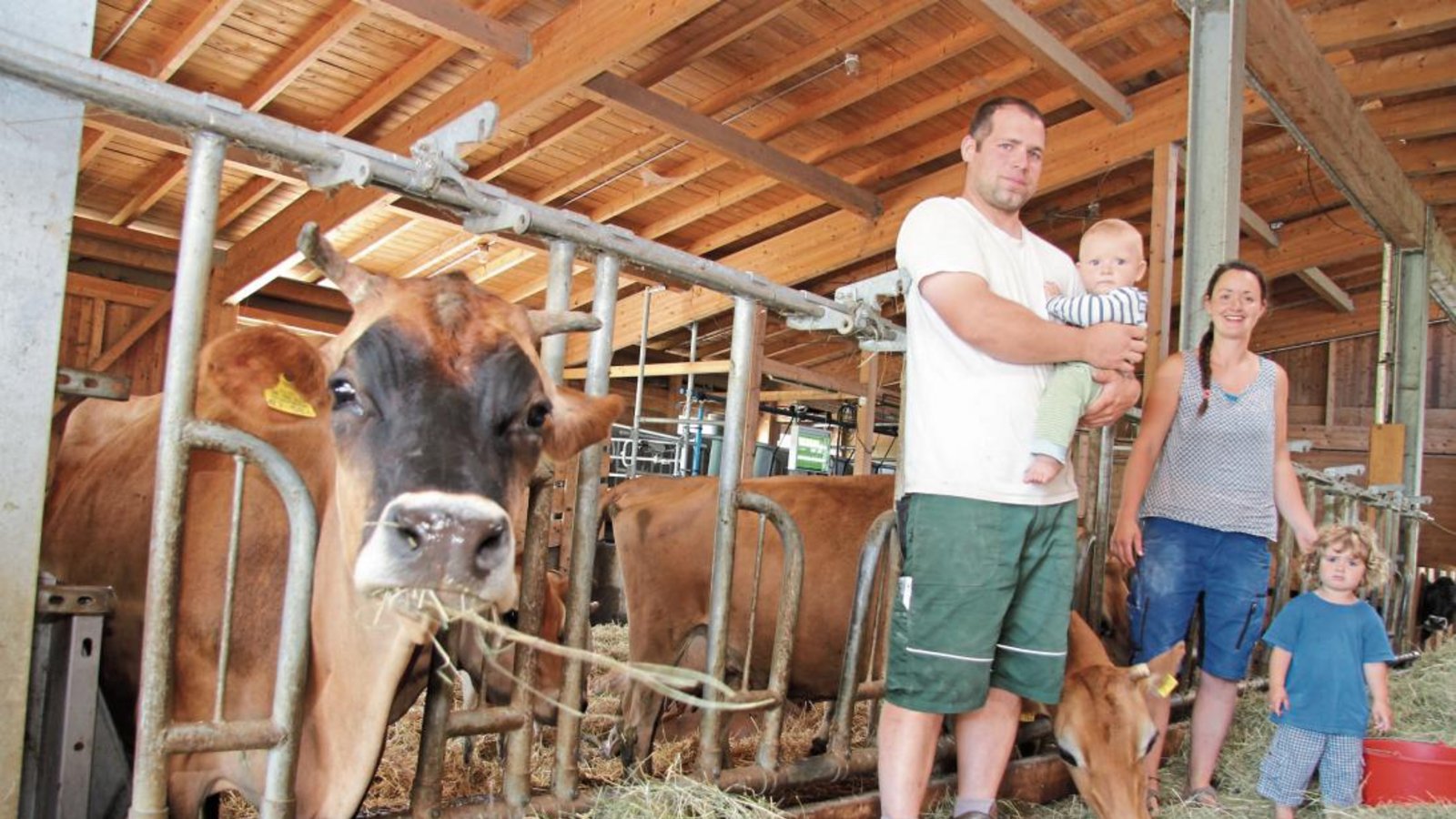 Die Kühe Olive und Hannah gehören zur einzigen Herde weit und breit, die nur aus Jersey-Rinder besteht. Sebastian und Yvonne Schoening mit Oskar (drei Jahre) und Corbinian (neun Monate) wollen ihren jungen Betrieb noch weiter ausbauen. Fotos: Banholzer Die Kühe Olive und Hannah gehören zur einzigen Herde weit und breit, die nur aus Jersey-Rinder besteht. Sebastian und Yvonne Schoening mit Oskar (drei Jahre) und Corbinian (neun Monate) wollen ihren jungen Betrieb noch weiter ausbauen. Fotos: Banholzer