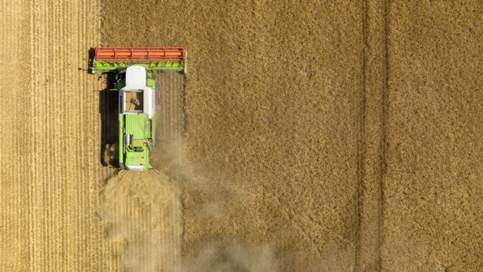 Die Dürre im Land hat sich wochenlang aufgebaut, für die Landwirtschaft bringen kurze Regenschauer keine langfristige Hilfe.Sebastian Kahnert/dpa