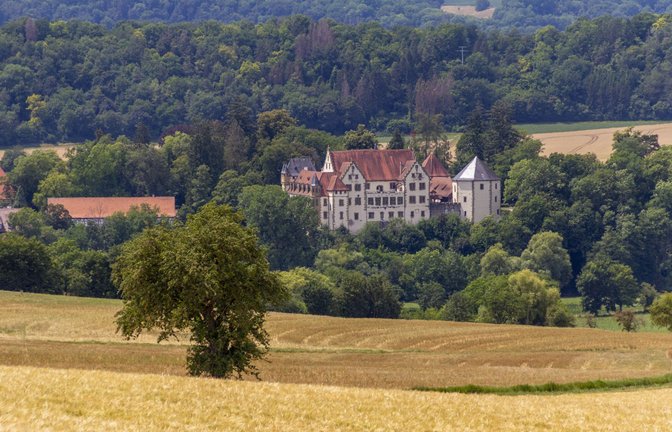 Das beschauliche Jagsthausen – bekannt für seine Burg – will sich gegen den neuen Zensus wehren.<span class='image-autor'>Foto: IMAGO/Pond5 Images/xprillx</span>