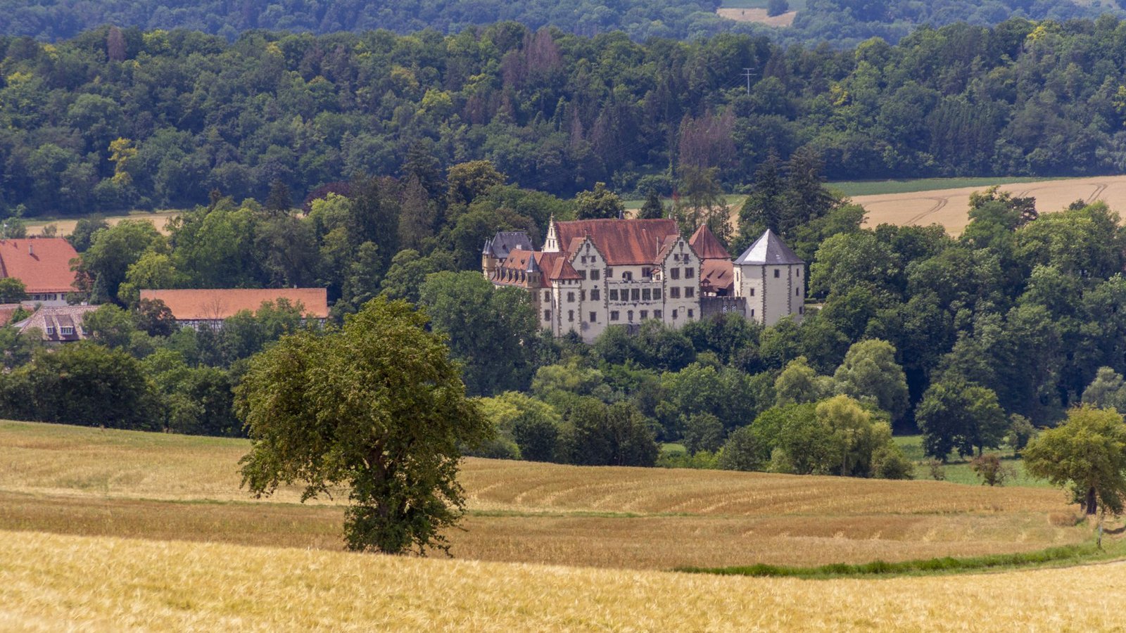 Das beschauliche Jagsthausen – bekannt für seine Burg – will sich gegen den neuen Zensus wehren.Foto: IMAGO/Pond5 Images/xprillx