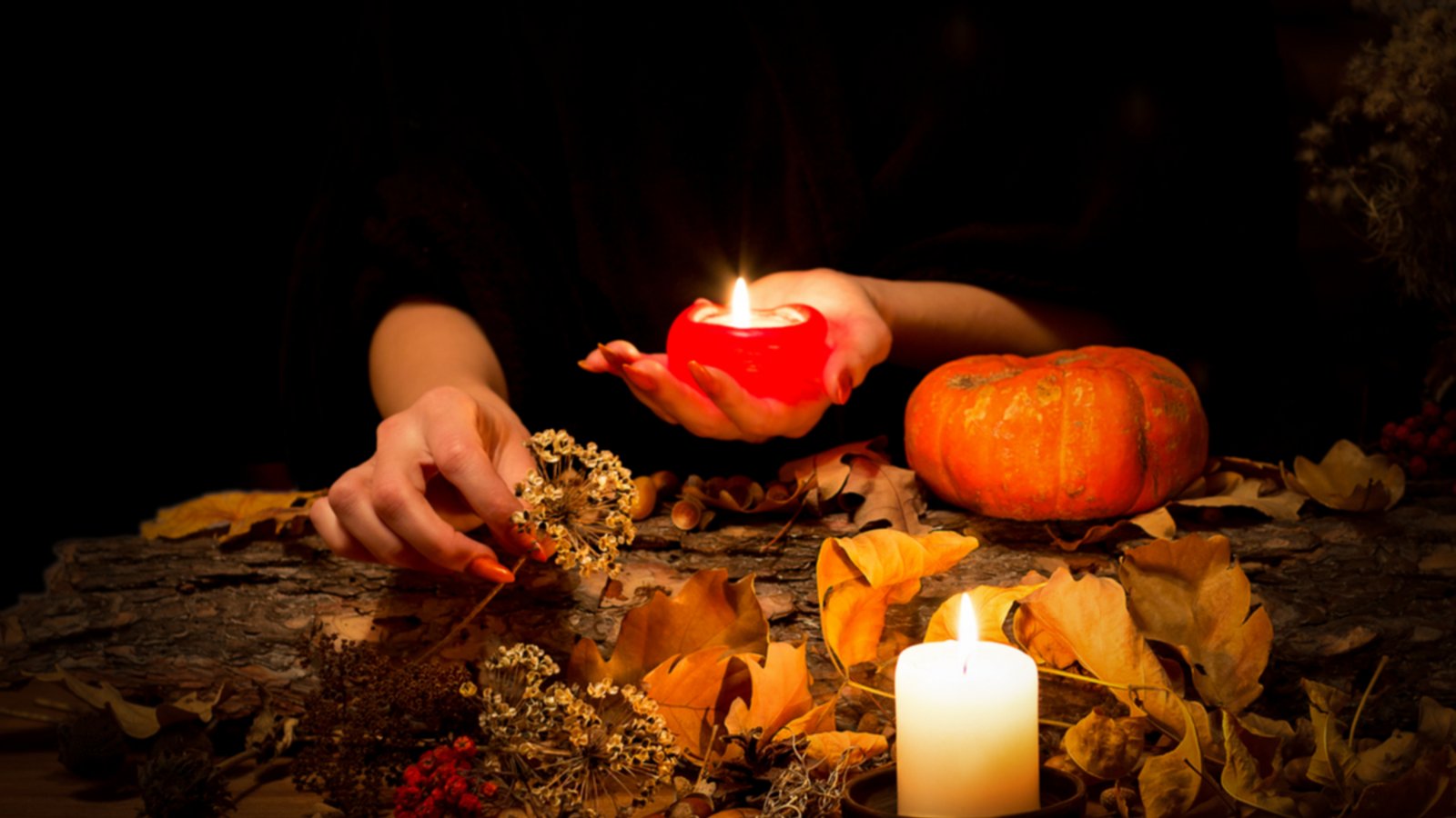 Welche Bedeutung hat Samhain?Foto: n.k.junky Welche Bedeutung hat Samhain?Foto: n.k.junky