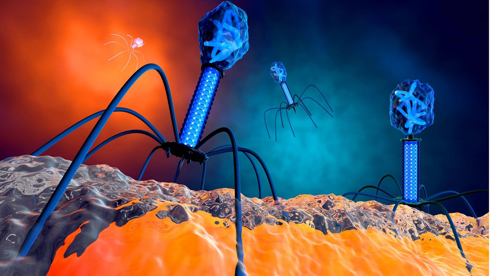 3-D-Illustration eines Bakteriophagen-Virus.Foto: imago/Westend61 3-D-Illustration eines Bakteriophagen-Virus.Foto: imago/Westend61
