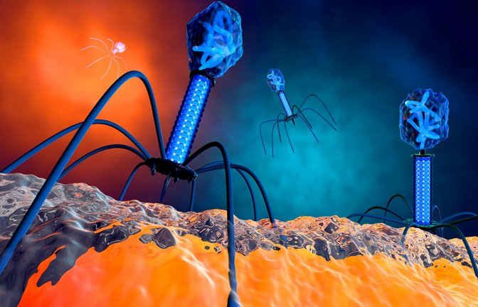 3-D-Illustration eines Bakteriophagen-Virus.<span class='image-autor'>Foto: imago/Westend61</span>