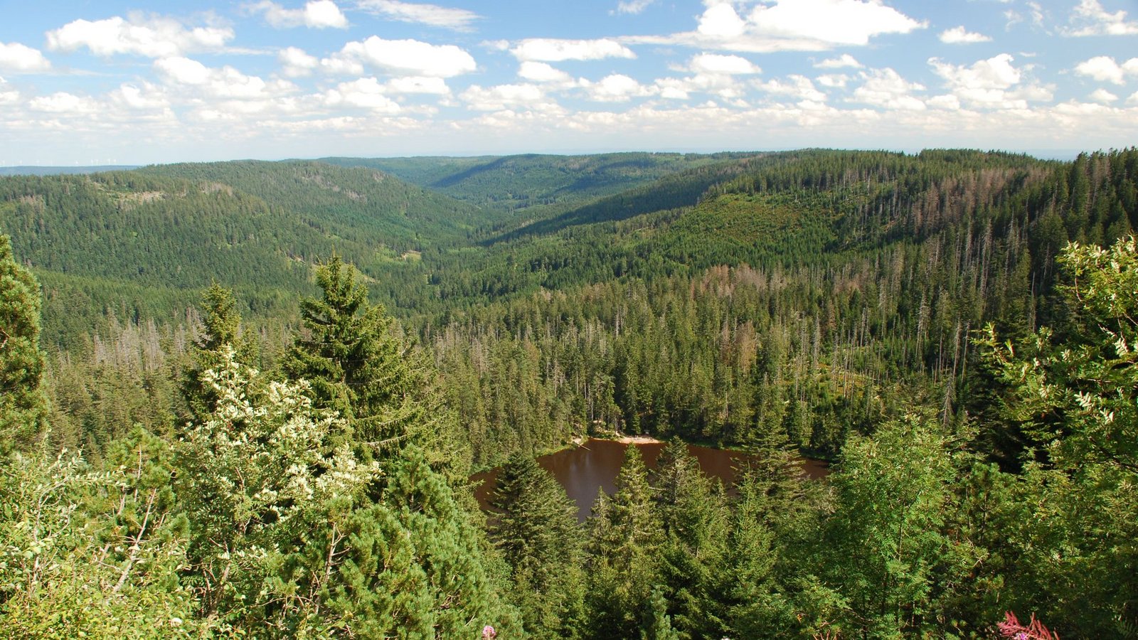 Der Nationalpark Schwarzwald – im Bild der Wildsee – ist vor zehn Jahren gegründet worden. Jetzt kommt die Erweiterung um 1500 Hektar.Foto: Nationalpark/Charly Ebel Der Nationalpark Schwarzwald – im Bild der Wildsee – ist vor zehn Jahren gegründet worden. Jetzt kommt die Erweiterung um 1500 Hektar.Foto: Nationalpark/Charly Ebel