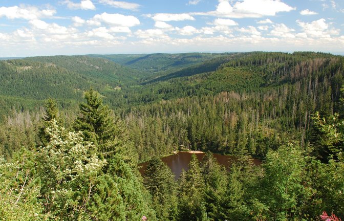 Der Nationalpark Schwarzwald – im Bild der Wildsee – ist vor zehn Jahren gegründet worden. Jetzt kommt die Erweiterung um 1500 Hektar.<span class='image-autor'>Foto: Nationalpark/Charly Ebel</span>