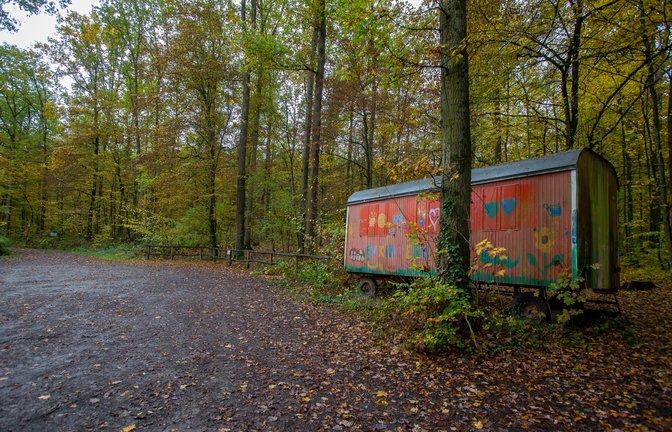 Beim Waldparkplatz am Baiselsberg finden jedes Jahr die Kindergarten-Waldwochen statt. Hier könnte beispielsweise ein Hohenhaslacher Waldkindergarten installiert werden. <span class='image-autor'>Foto: Bürkle</span> 