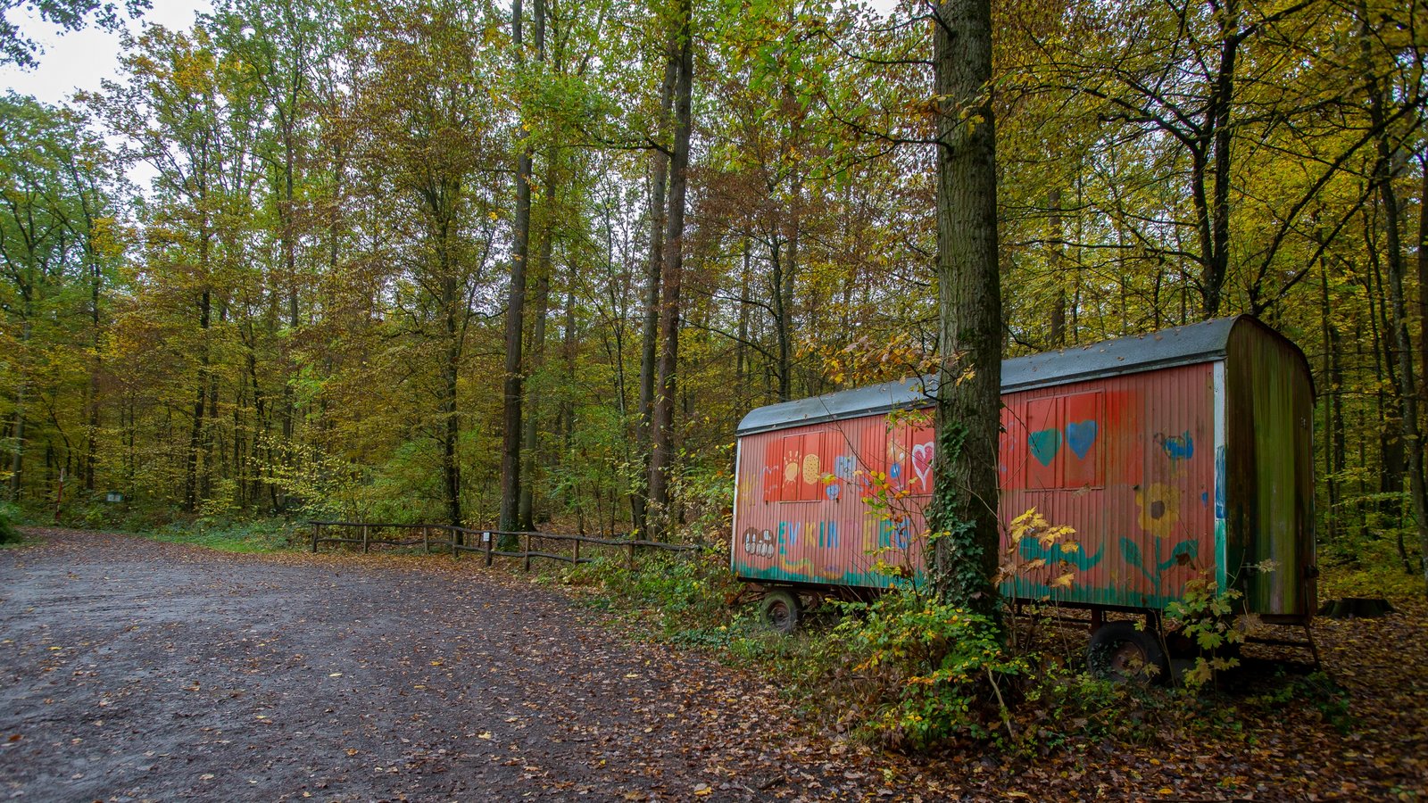 Beim Waldparkplatz am Baiselsberg finden jedes Jahr die Kindergarten-Waldwochen statt. Hier könnte beispielsweise ein Hohenhaslacher Waldkindergarten installiert werden. Foto: Bürkle Beim Waldparkplatz am Baiselsberg finden jedes Jahr die Kindergarten-Waldwochen statt. Hier könnte beispielsweise ein Hohenhaslacher Waldkindergarten installiert werden. Foto: Bürkle