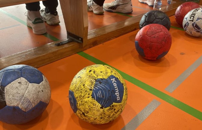 Drei Spiele, drei Siege – die Drittliga-Handballer des  TSV Neuhausen sind  perfekt in die neue Saison gestartet.<span class='image-autor'>Steffen Wahr</span>
