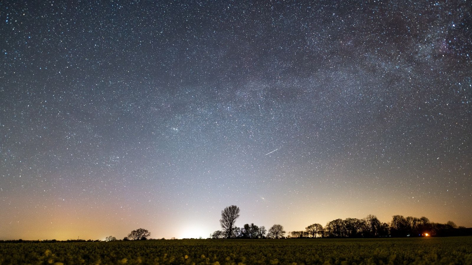 Der Sternenhimmel leuchtet über einem Rapsfeld in Schleswig-Holstein.Foto: Daniel Reinhardt/dpa
