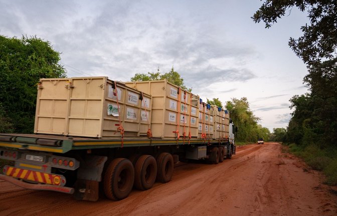Nashörner werden in Containern zum Zinave Nationalpark transportiert.<span class='image-autor'>Foto: Peace Parks Foundation/dpa</span>