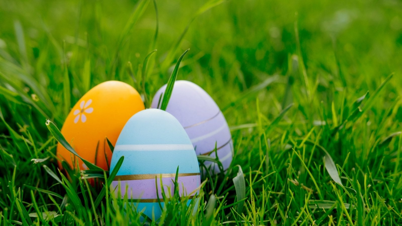 Wann ist der richtige Zeitpunkt für die Osterdeko?Foto: Katsiaryna Kollontai / shutterstock.com Wann ist der richtige Zeitpunkt für die Osterdeko?Foto: Katsiaryna Kollontai / shutterstock.com