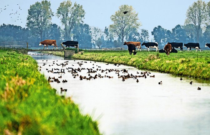 Foto: imago/ANP