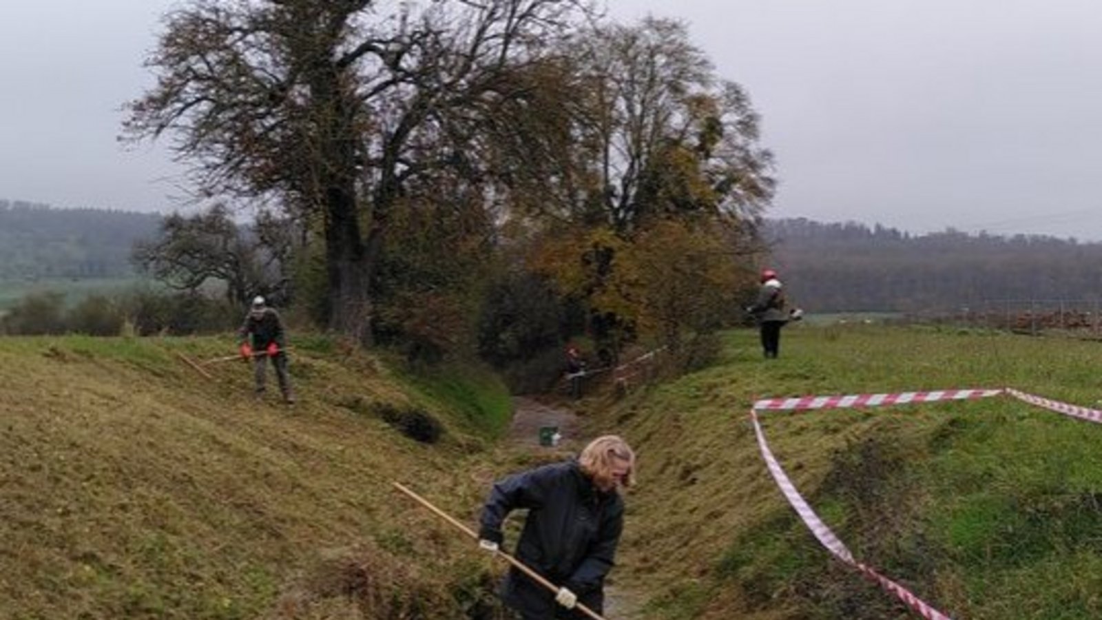 Der BUND möchte die Hänge am Hohlweg in Mühlacker mähen. Dafür werden noch helfende Hände gesucht.  Foto: BUND/Michael Hudak