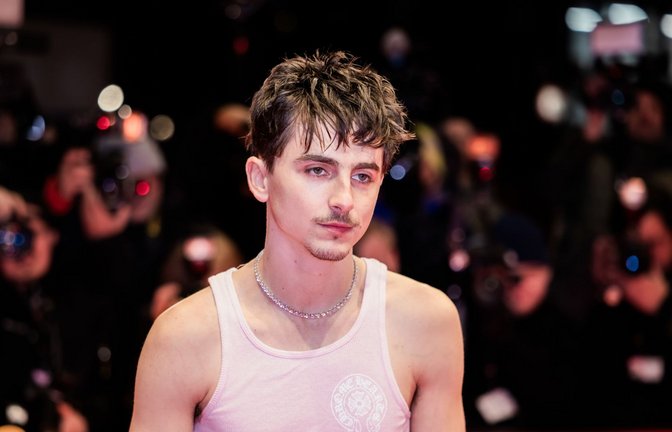 Timothée Chalamet auf dem Roten Teppich bei der Premiere von „Like A Complete Unknown“ auf der Berlinale<span class='image-autor'>Foto: dpa/Christoph Soeder</span>